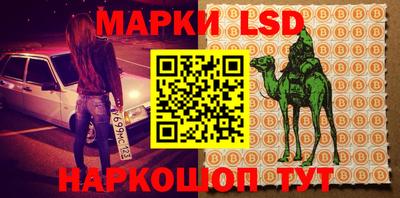 стафф Нальчик