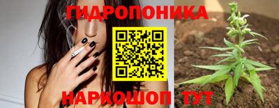 стафф Нальчик