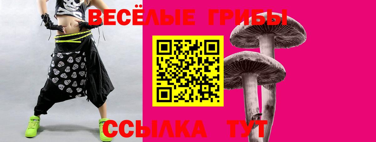 Псилоцибиновые грибы Psilocybine cubensis  где найти наркотики  Галлюциногенные грибы MAGIC MUSHROOMS  Рузаевка  Вход с VPN 